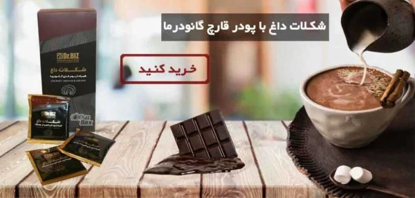 هات چاکلت با قارچ گانودرما