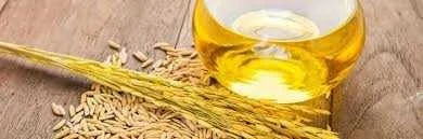 قیمت پودر سبوس برنج قهوه ای دکتر بیز
