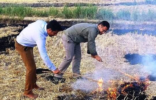 کشاورزان از آتش زدن بقایای محصولات کشاورزی خودداری کنند