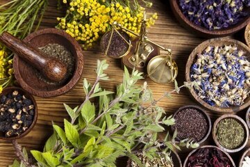 گیاه معرفی داروهای گیاهی برای بهبود بیماریهای دهان