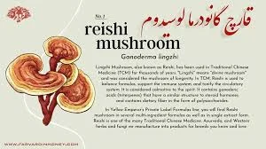 ویتامین‌های موجود در قارچ گانودرما و قهوه گانودرما