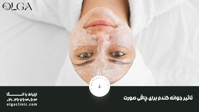 چاقی | چاقی صورت فواید جوانه گندم برای چاقی صورت